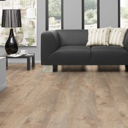 Πάτωμα Laminate Kronotex Mammut Plus D3669 Makro Oak Beige B