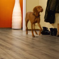 Πάτωμα Laminate My Floor Cottage Mv895 Tormes Oak B