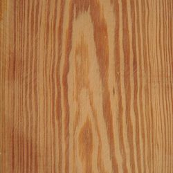 Pitch Pine