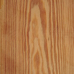 Pitch Pine